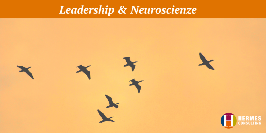 LEADERSHIP & NEUROSCIENZAE