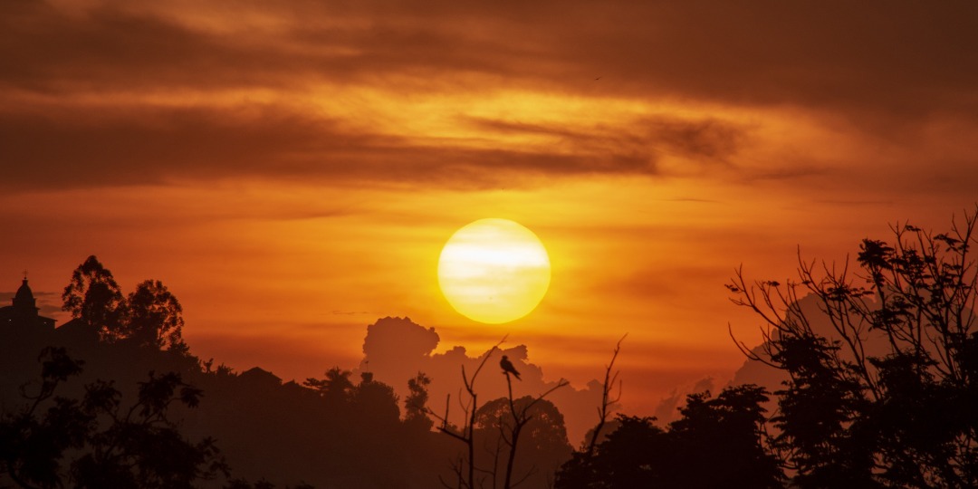 Tramonto infuocato su una foresta con silhouette di alberi e un grande sole all'orizzonte.