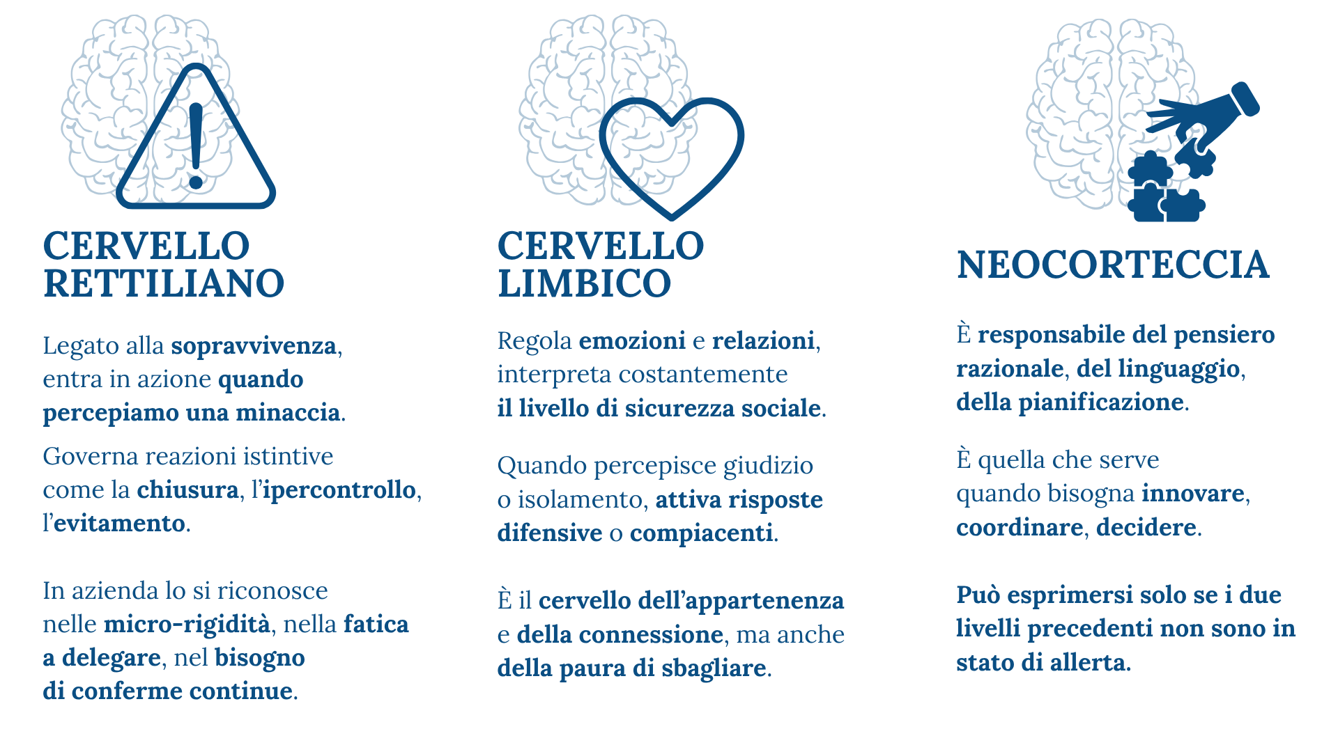 Schema che illustra il cervello rettiliano, limbico e la neocorteccia: funzioni, reazioni e impatto nei comportamenti organizzativi secondo la teoria del cervello al lavoro
